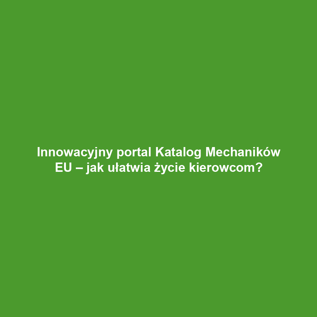 Innowacyjny portal Katalog Mechaników EU – jak ułatwia życie kierowcom?