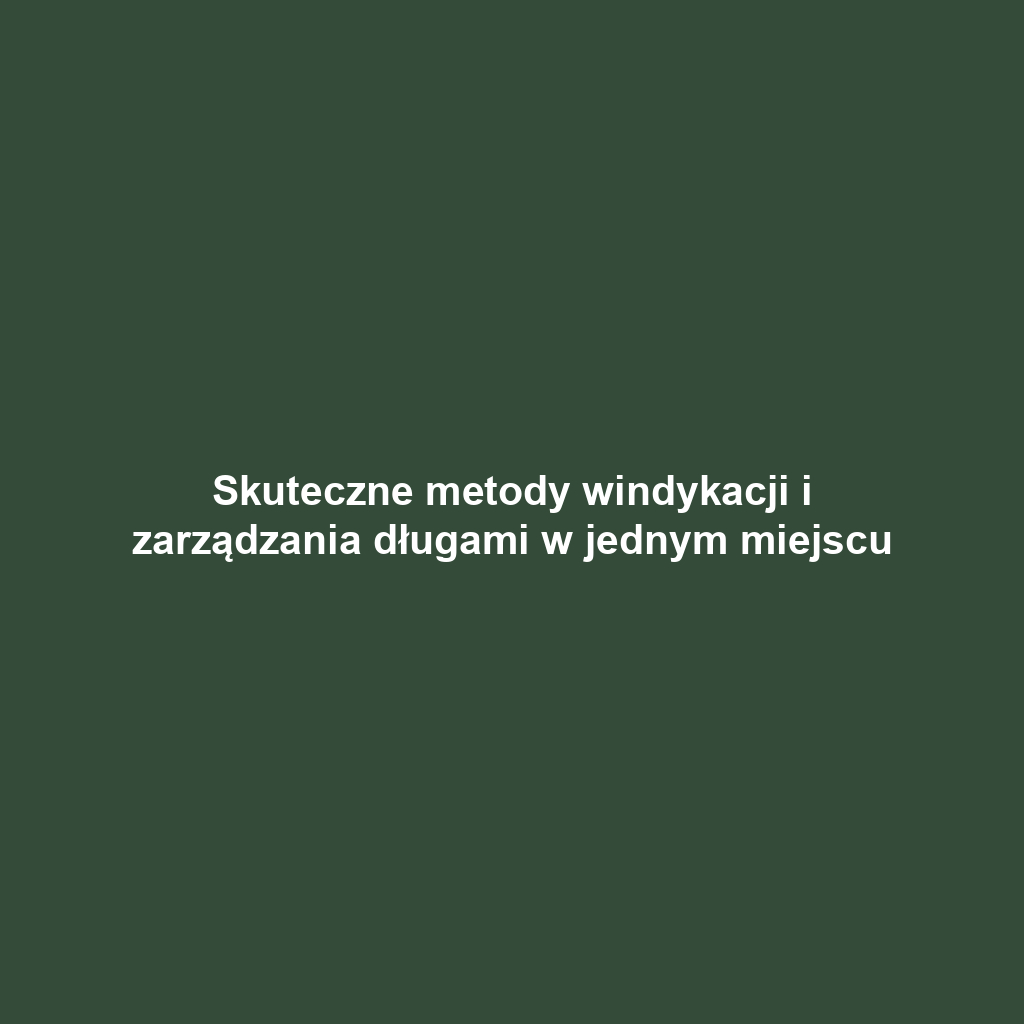 Skuteczne metody windykacji i zarządzania długami w jednym miejscu