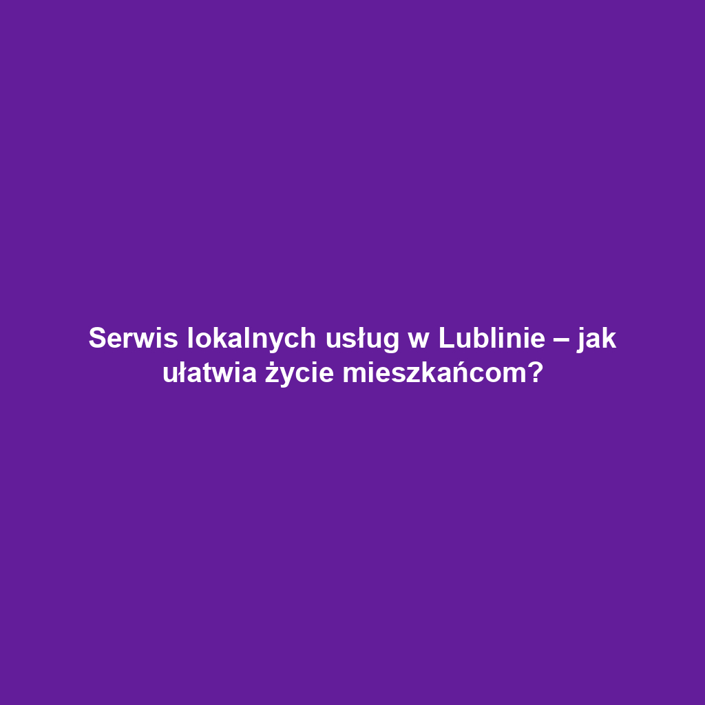 Serwis lokalnych usług w Lublinie – jak ułatwia życie mieszkańcom?