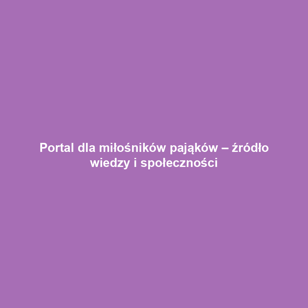 Portal dla miłośników pająków – źródło wiedzy i społeczności