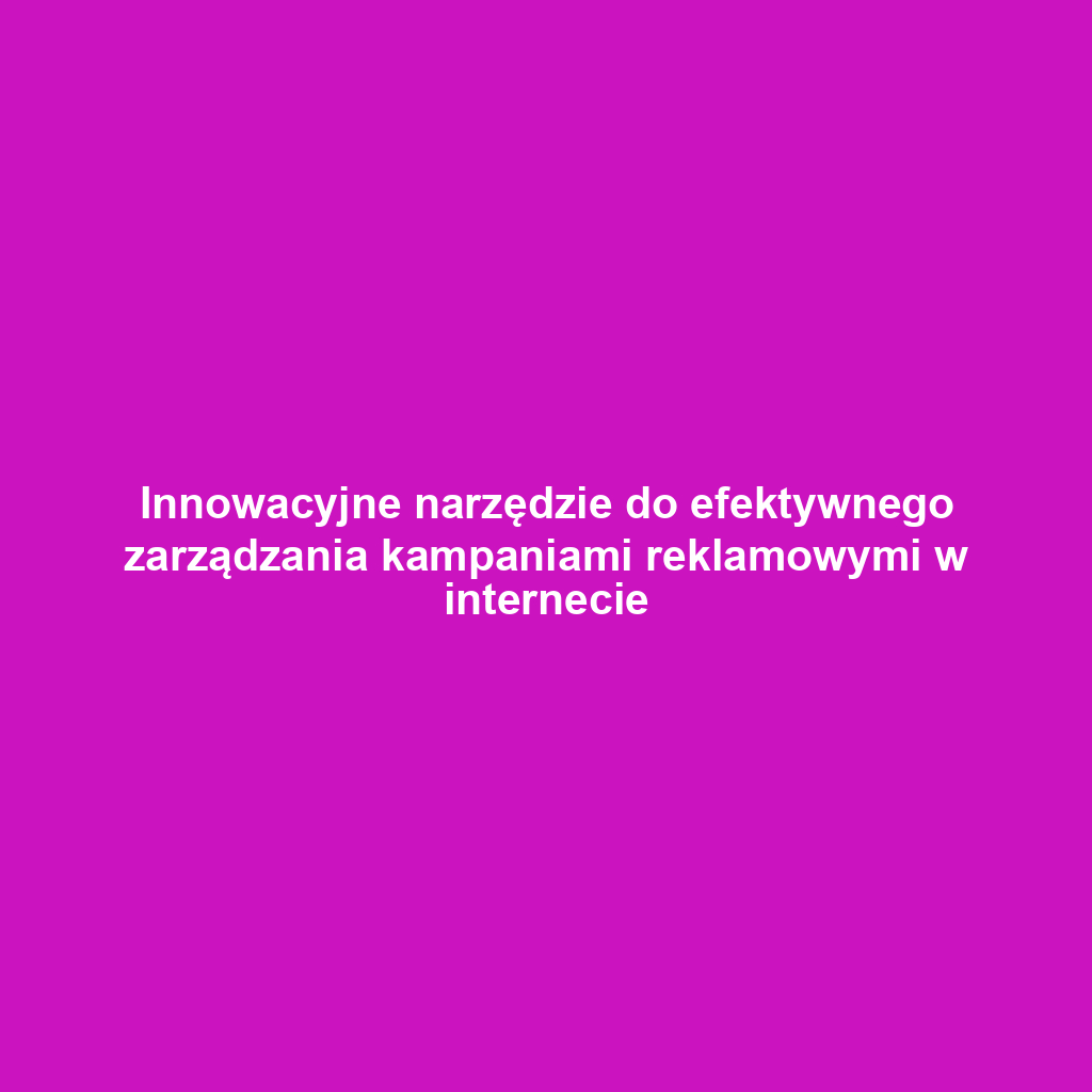 Innowacyjne narzędzie do efektywnego zarządzania kampaniami reklamowymi w internecie