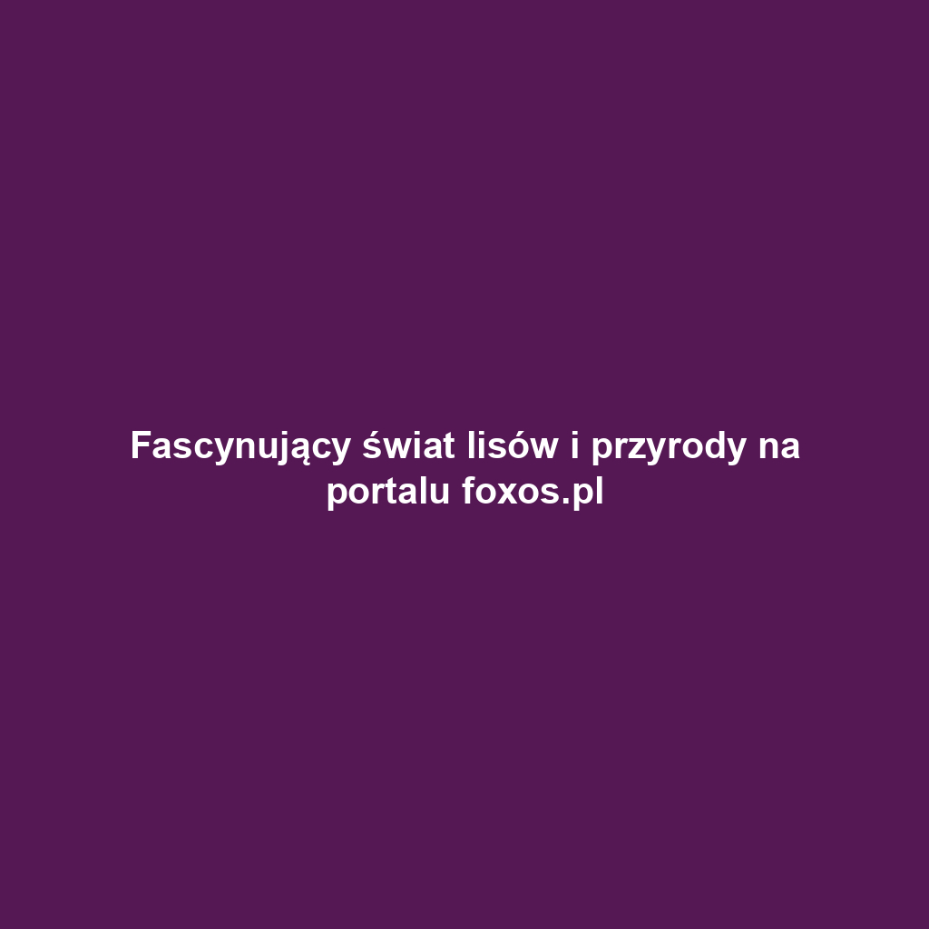 Fascynujący świat lisów i przyrody na portalu foxos.pl